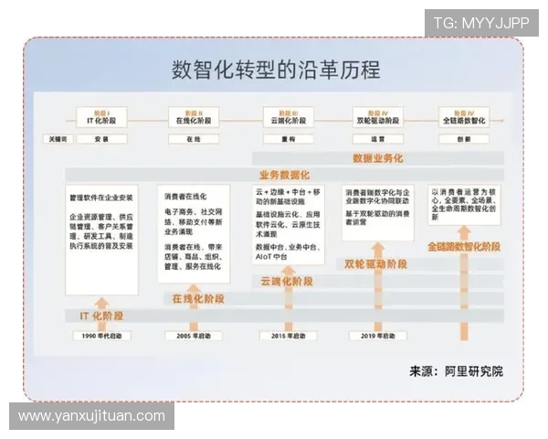 南京网球队的转型之路：得失与挑战并存的深度分析