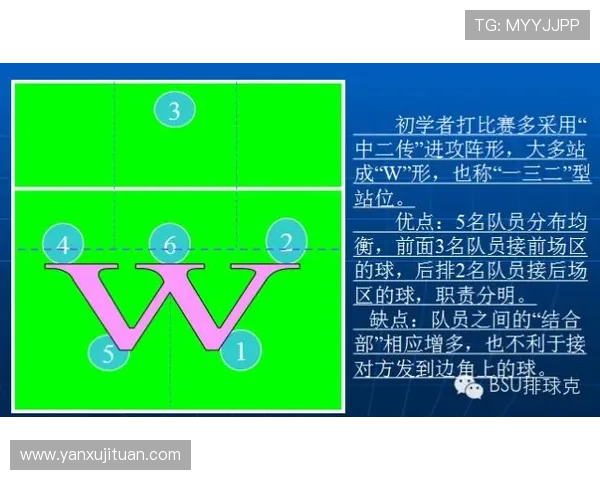 杭州排球队在邀请赛中的战术表现分析与点评探讨