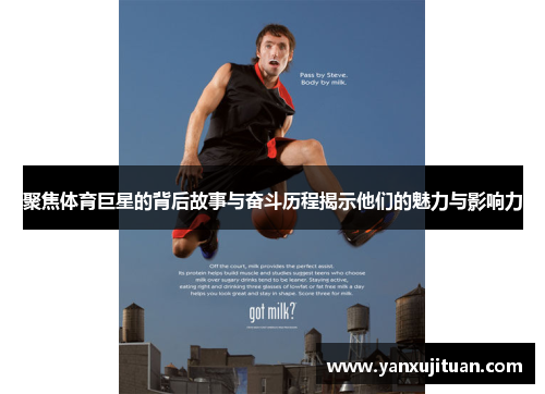 聚焦体育巨星的背后故事与奋斗历程揭示他们的魅力与影响力